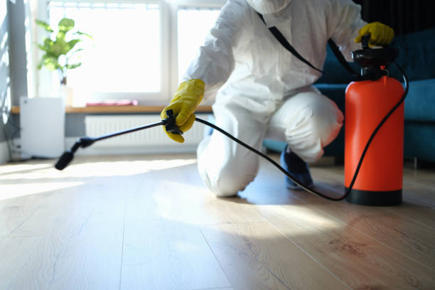 Reliable Odor Removal contractor in Scottdale, PA by Trauma Clean Pros